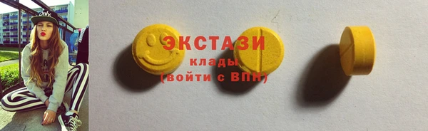 индика Бронницы