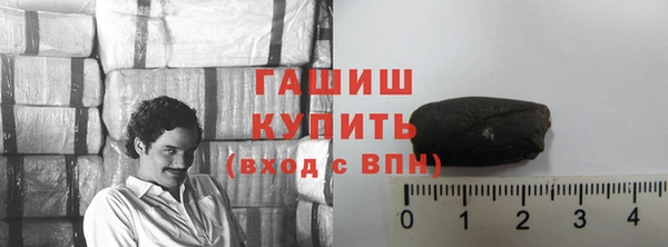 индика Бронницы