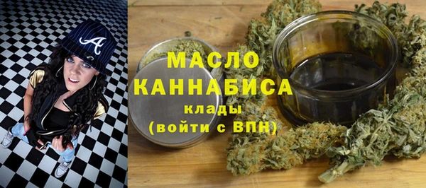 индика Бронницы