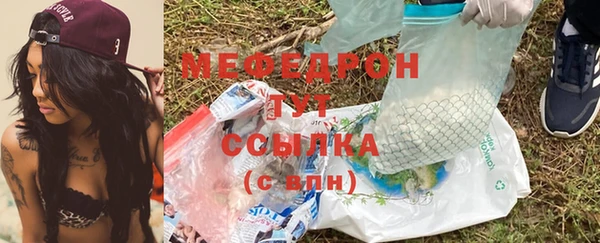 индика Бронницы