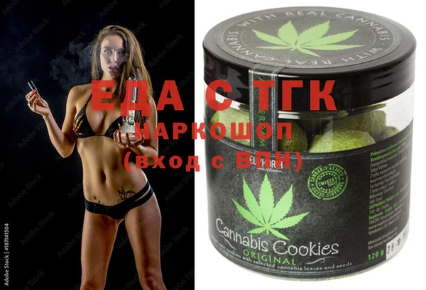 индика Бронницы