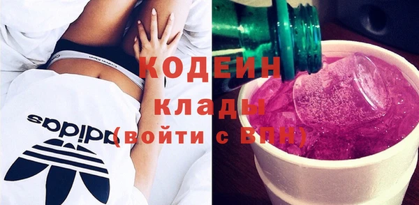 индика Бронницы