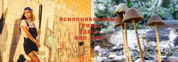 индика Бронницы