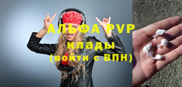 индика Бронницы